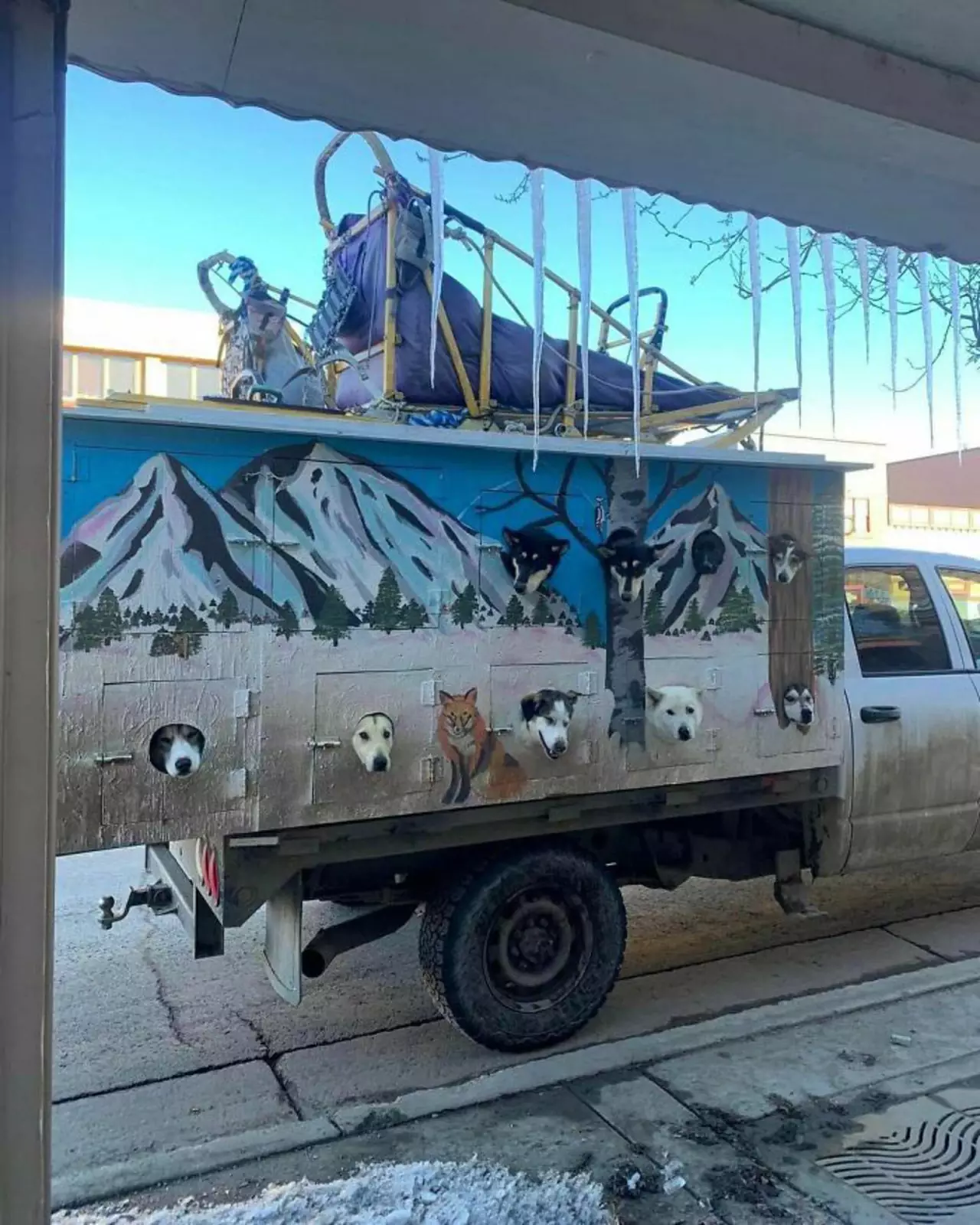 Собачье такси. Собачье такси.