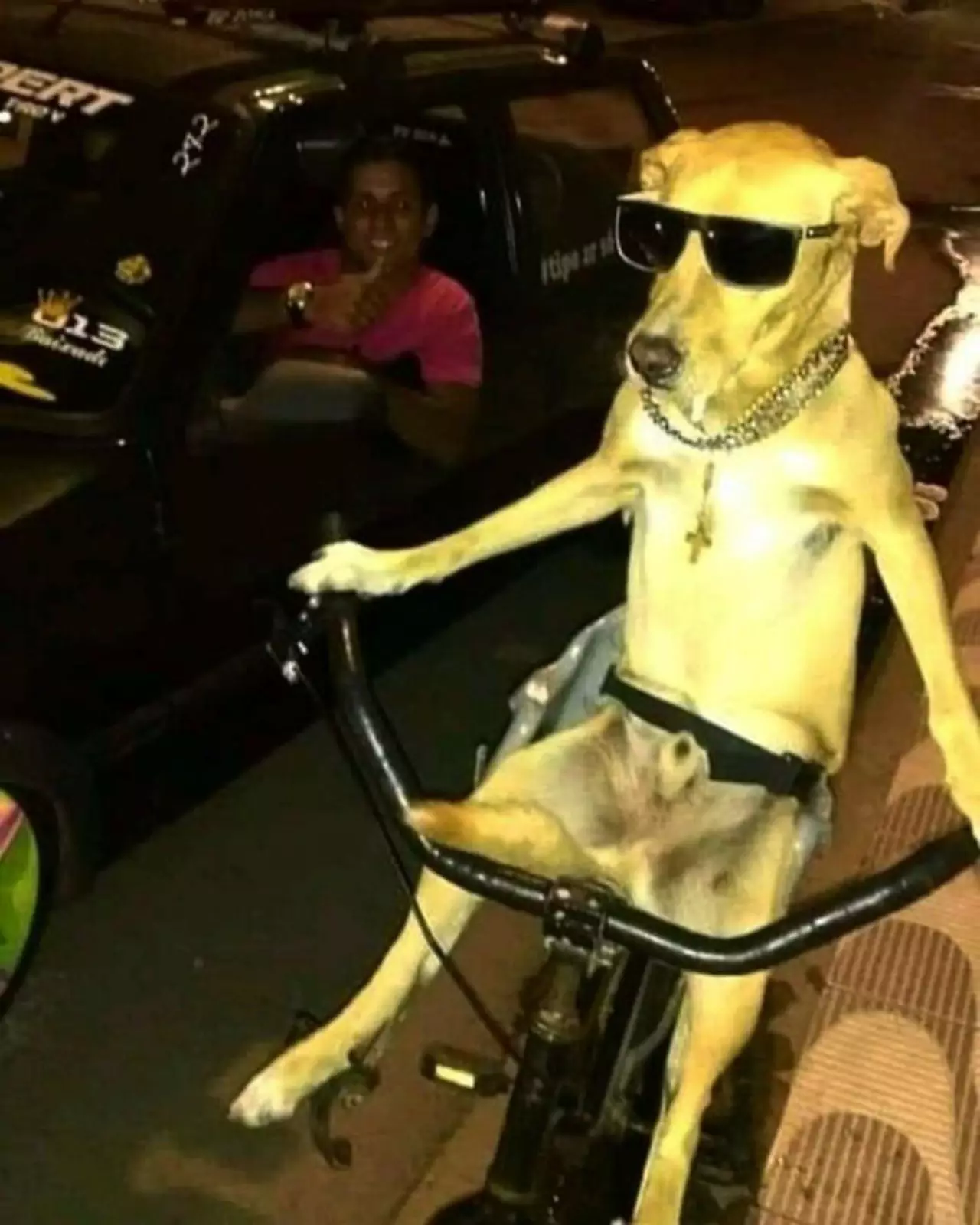 Снуп Дог. Снуп Дог.