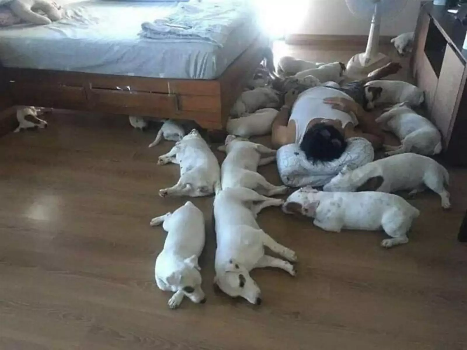 Сладких снов. Сладких снов.