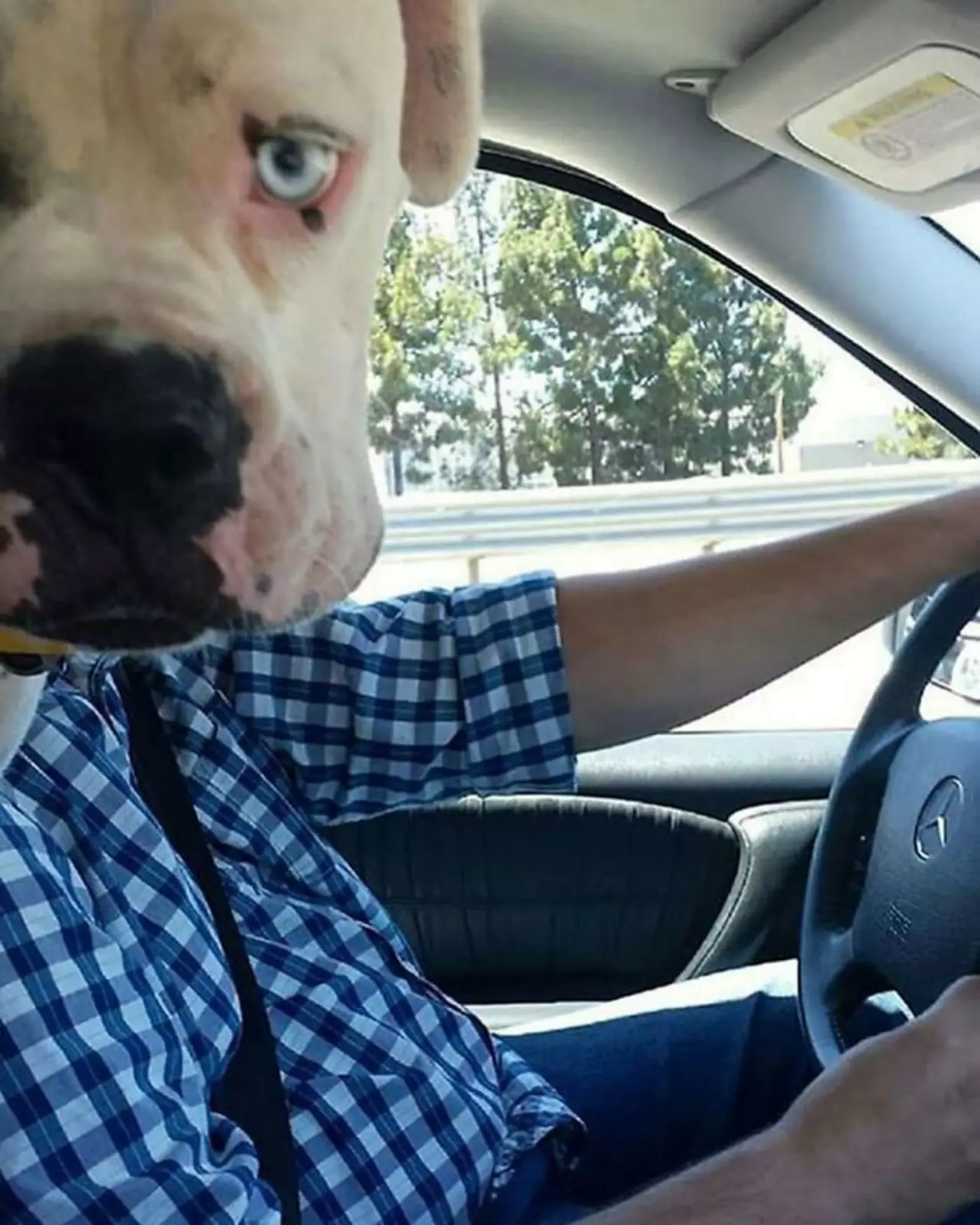 Показалось. Показалось.