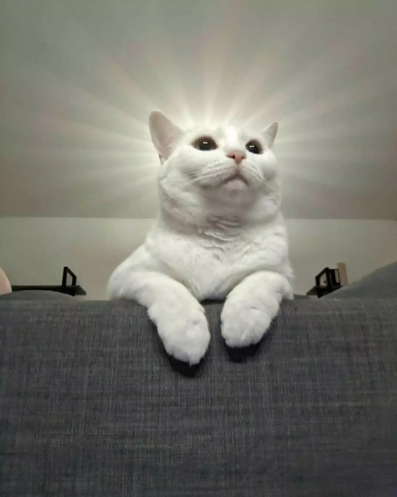 На него снизошла благодать. На него снизошла благодать.