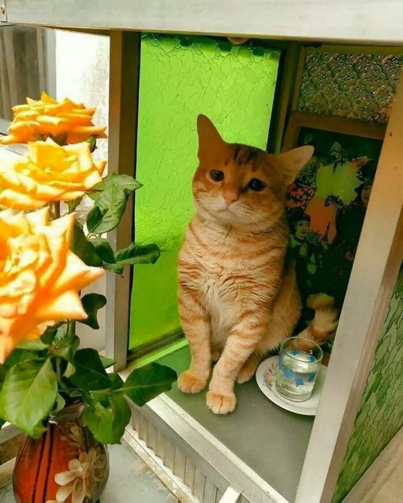 А на него нет. А на него нет.