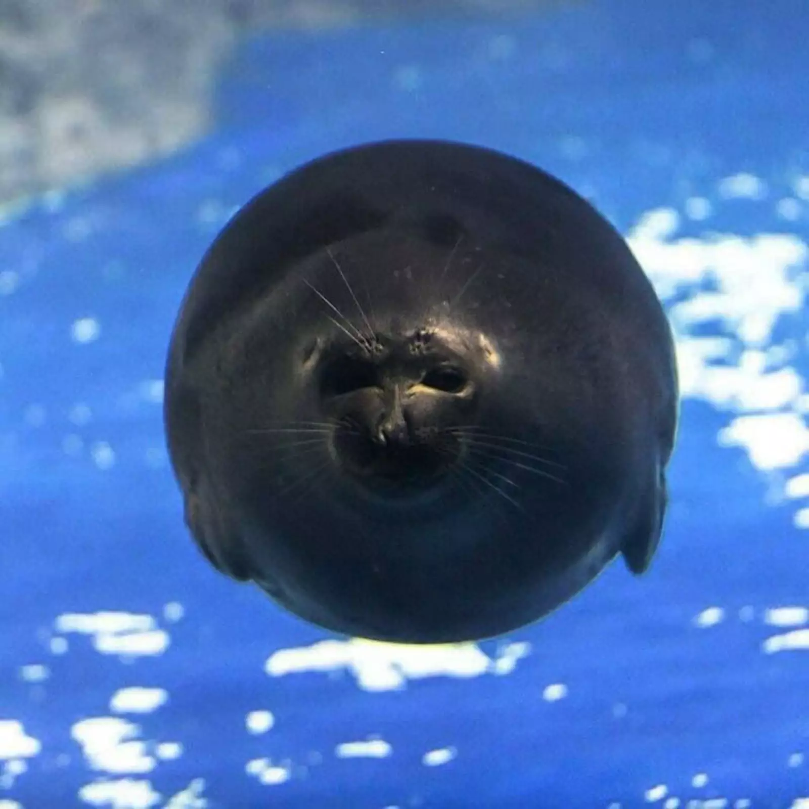 Идеальная окружность. Идеальная окружность.