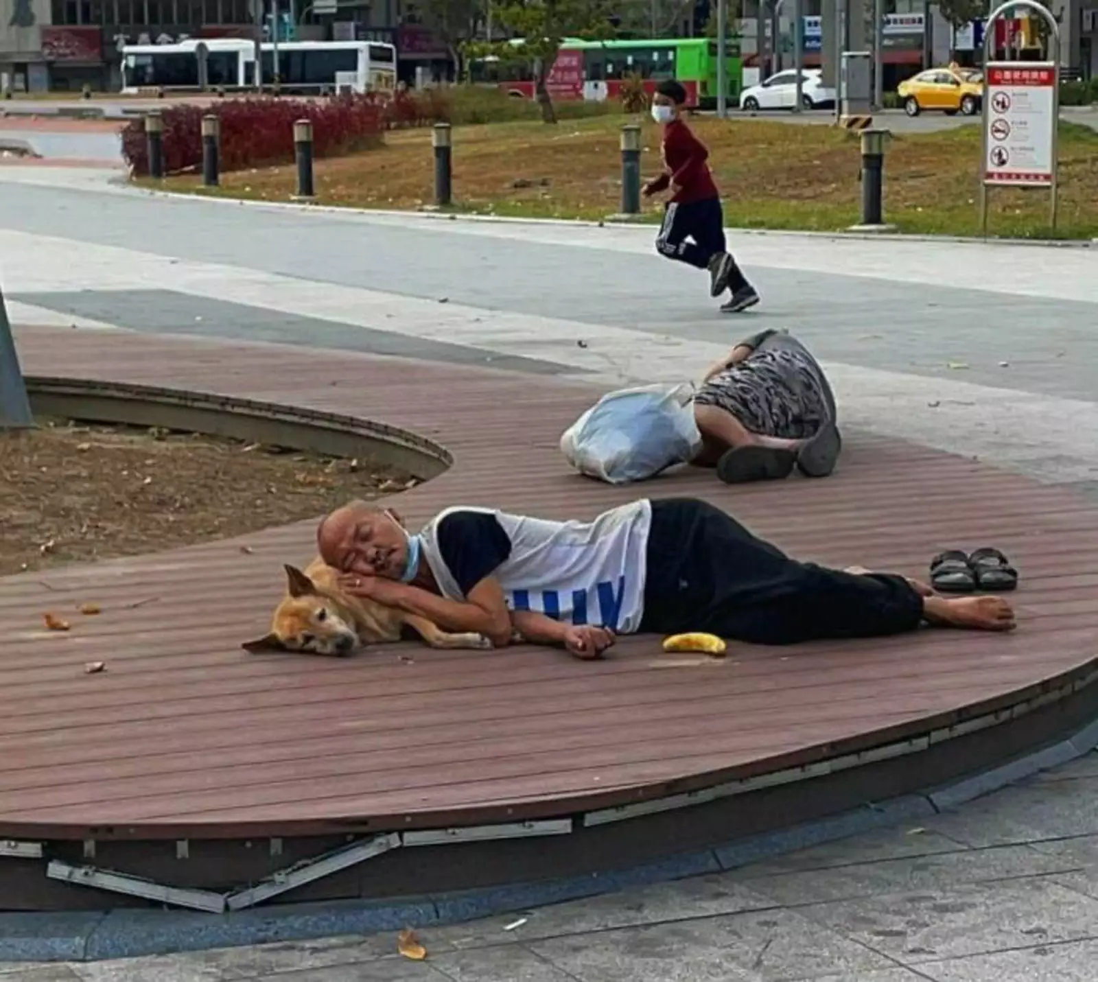 Пёсоподушка. Пёсоподушка.