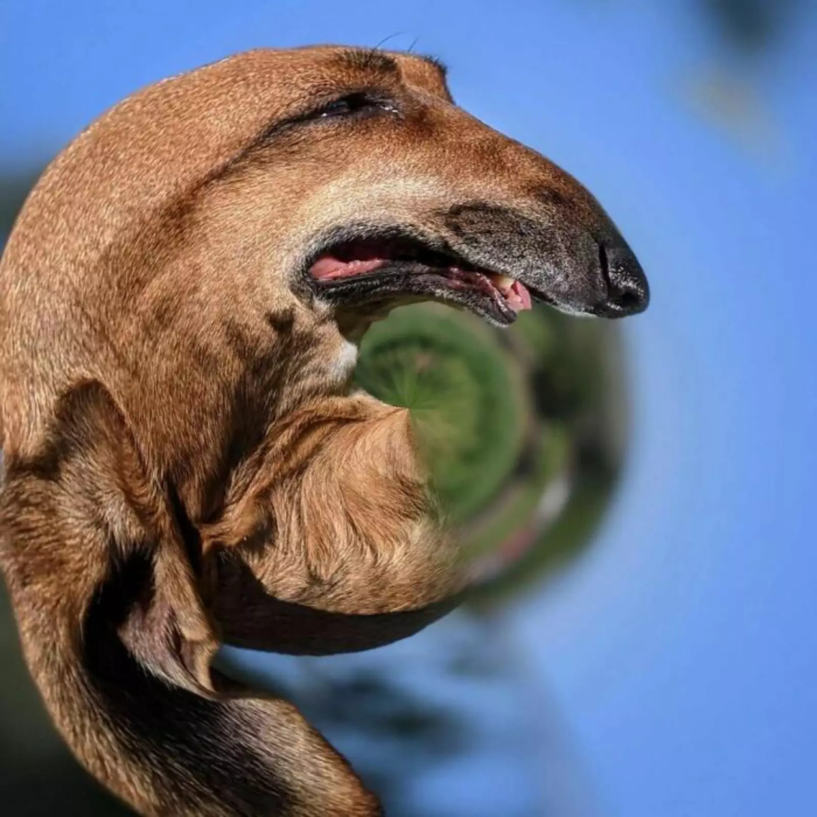 Закрутило. Закрутило.