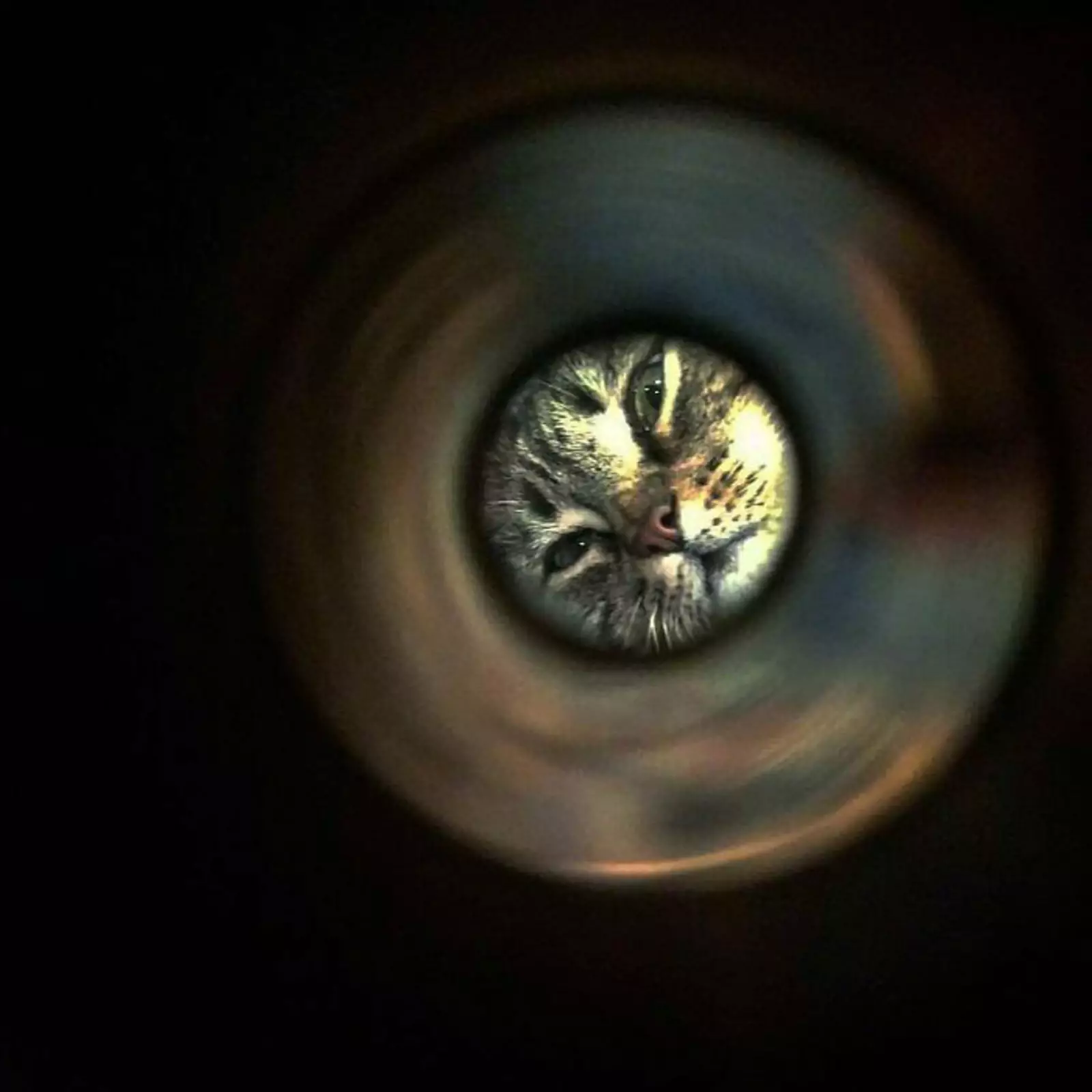 На роль солнца в Телепузиках утвердили нового актера. На роль солнца в Телепузиках утвердили нового актера.