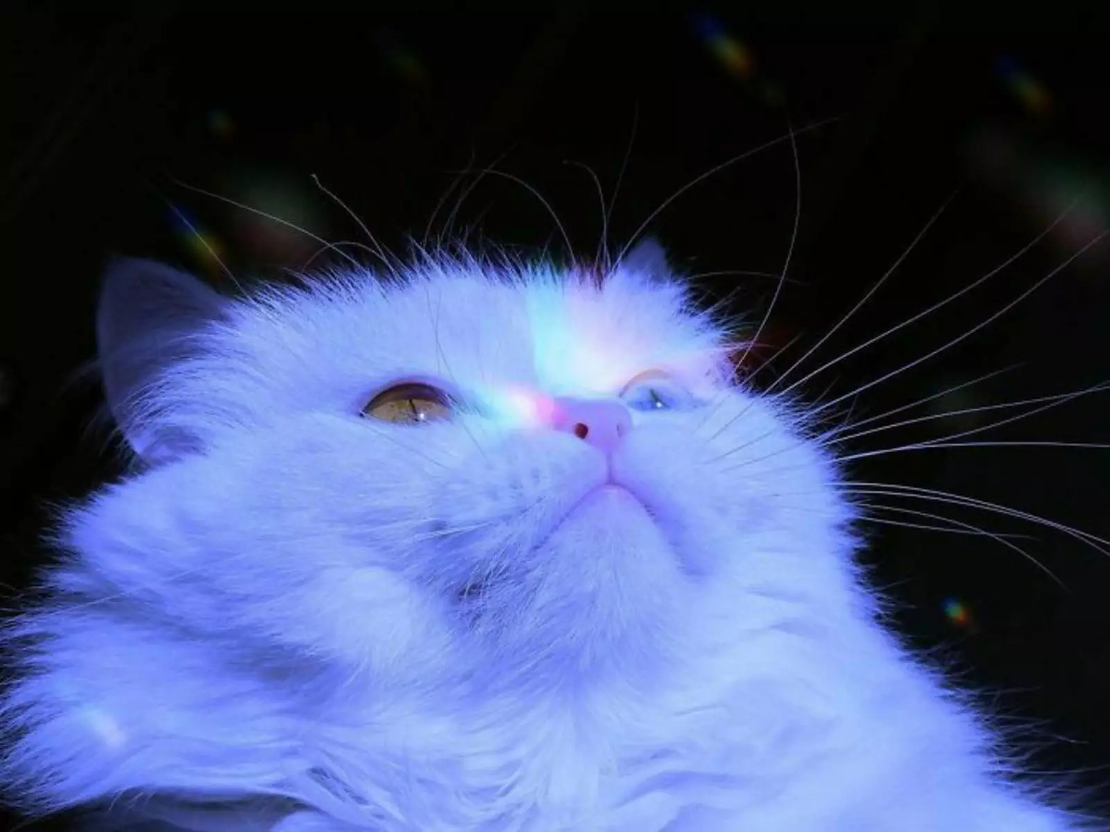 Залипательно. Залипательно.