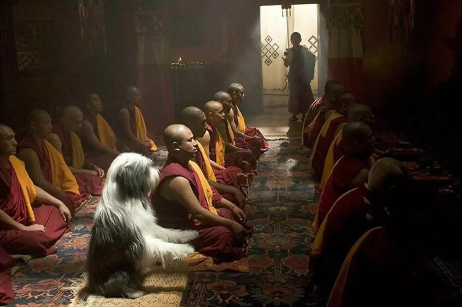 Пока еще не постригся в монахи. Пока еще не постригся в монахи.