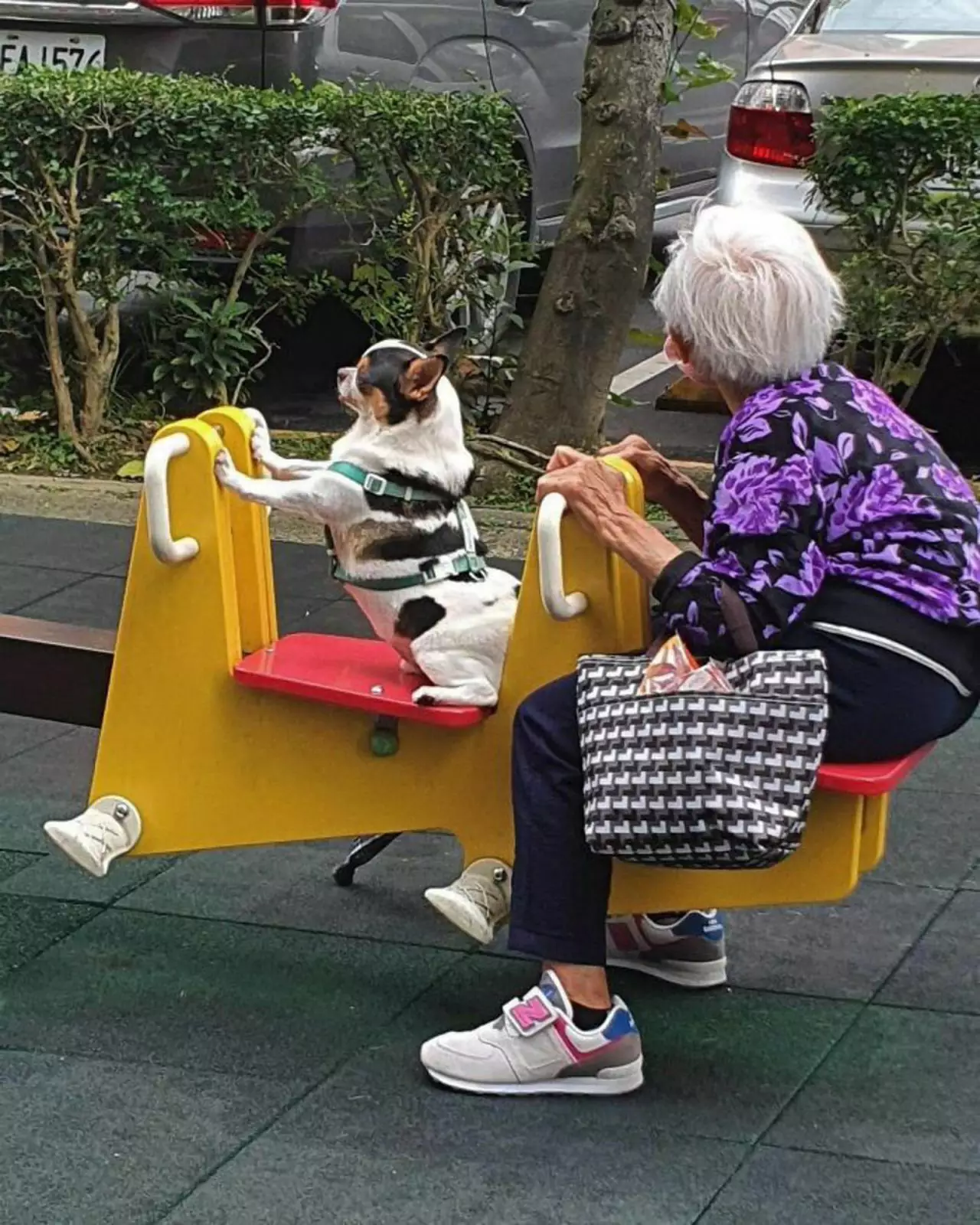 Парное катание. Парное катание.