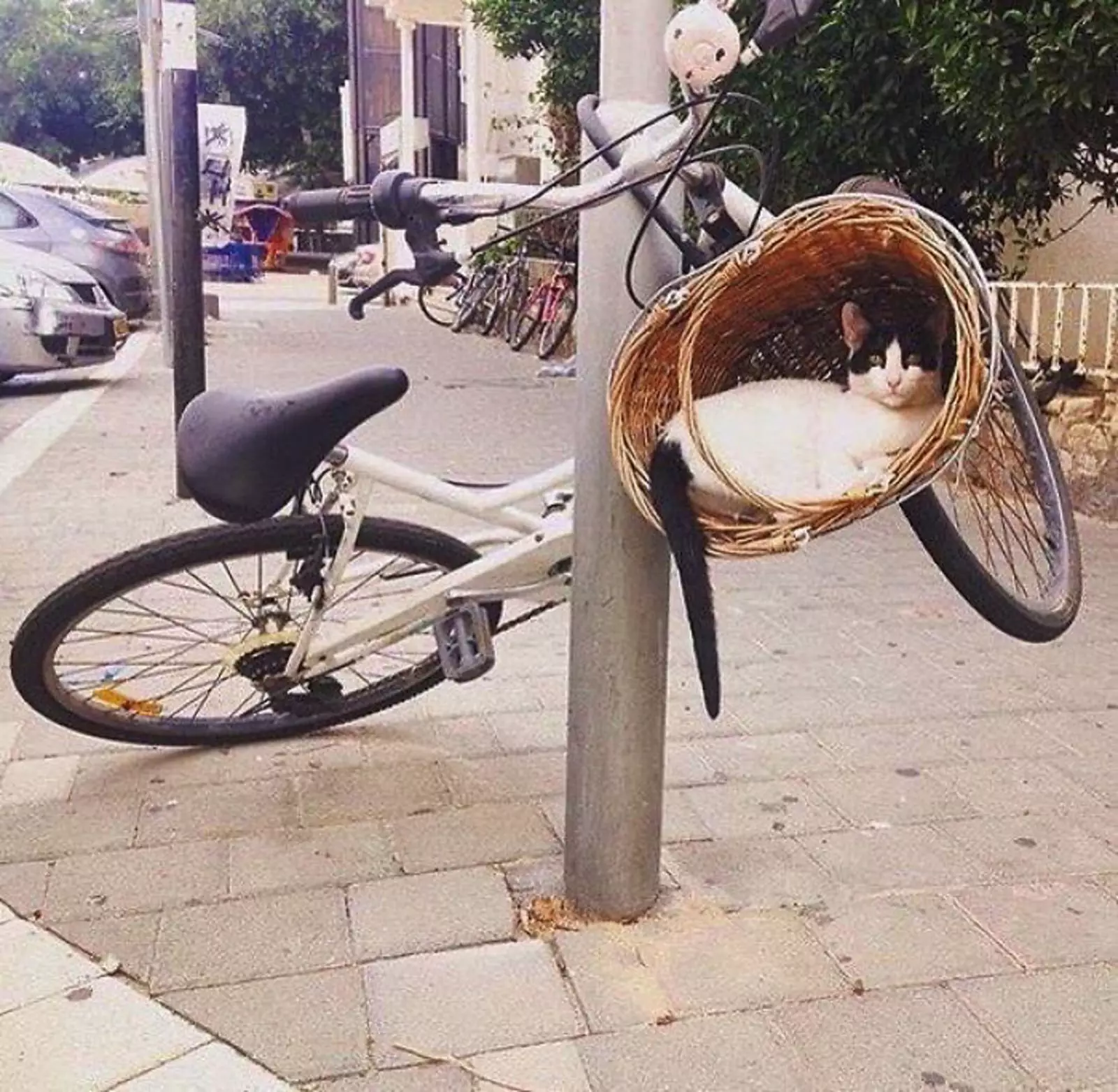 Идеально. Идеально.