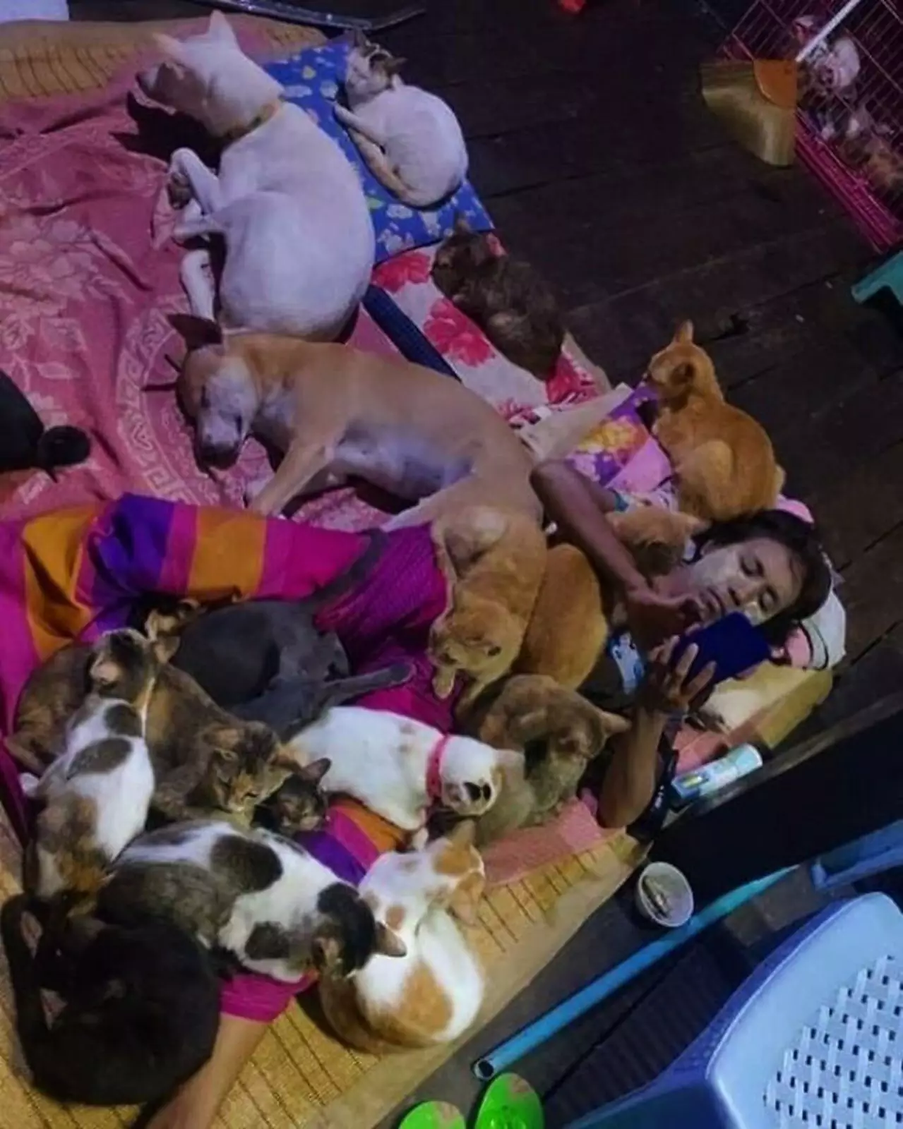 Облепили. Облепили.