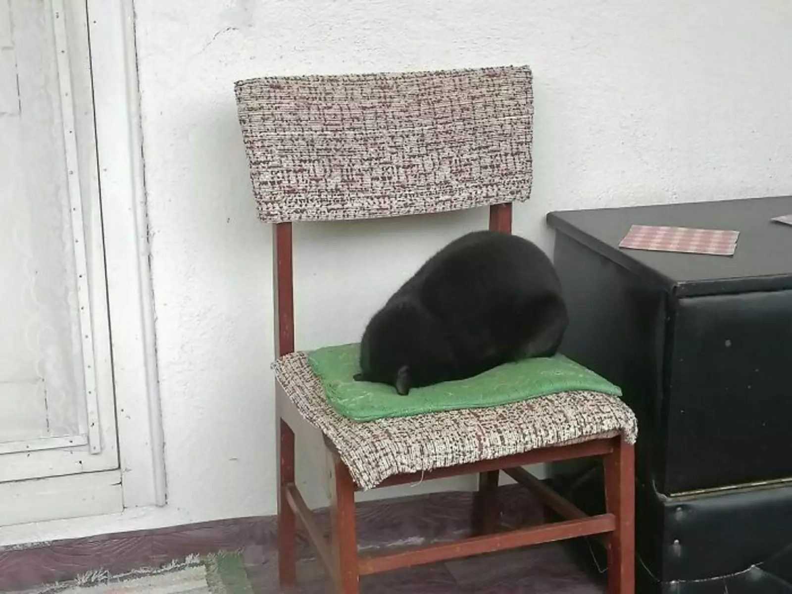 Утро понедельника. Утро понедельника.