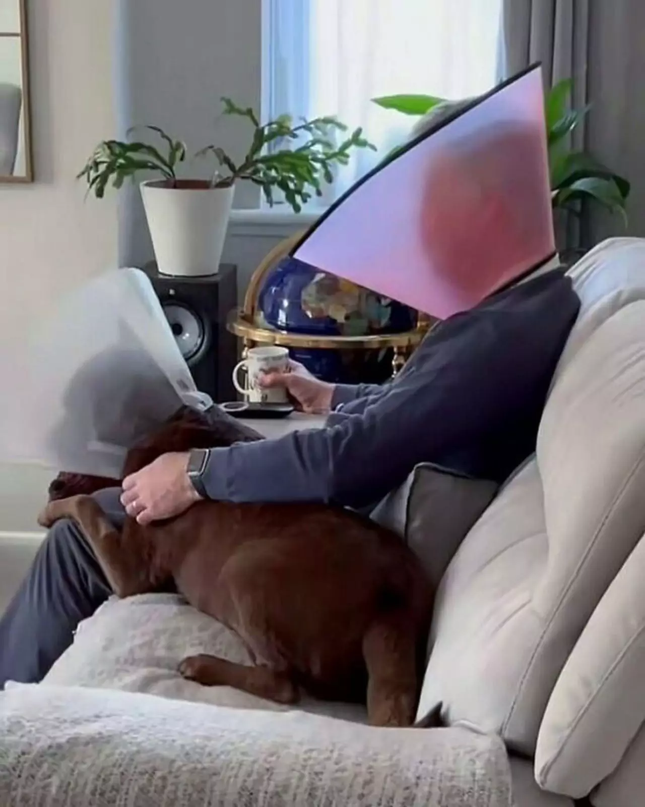 С - сочувствие и соучастие. С - сочувствие и соучастие.