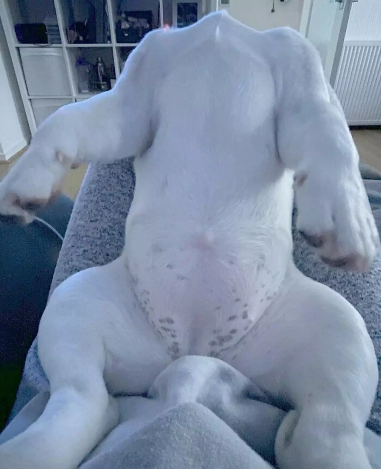 Просто Просто