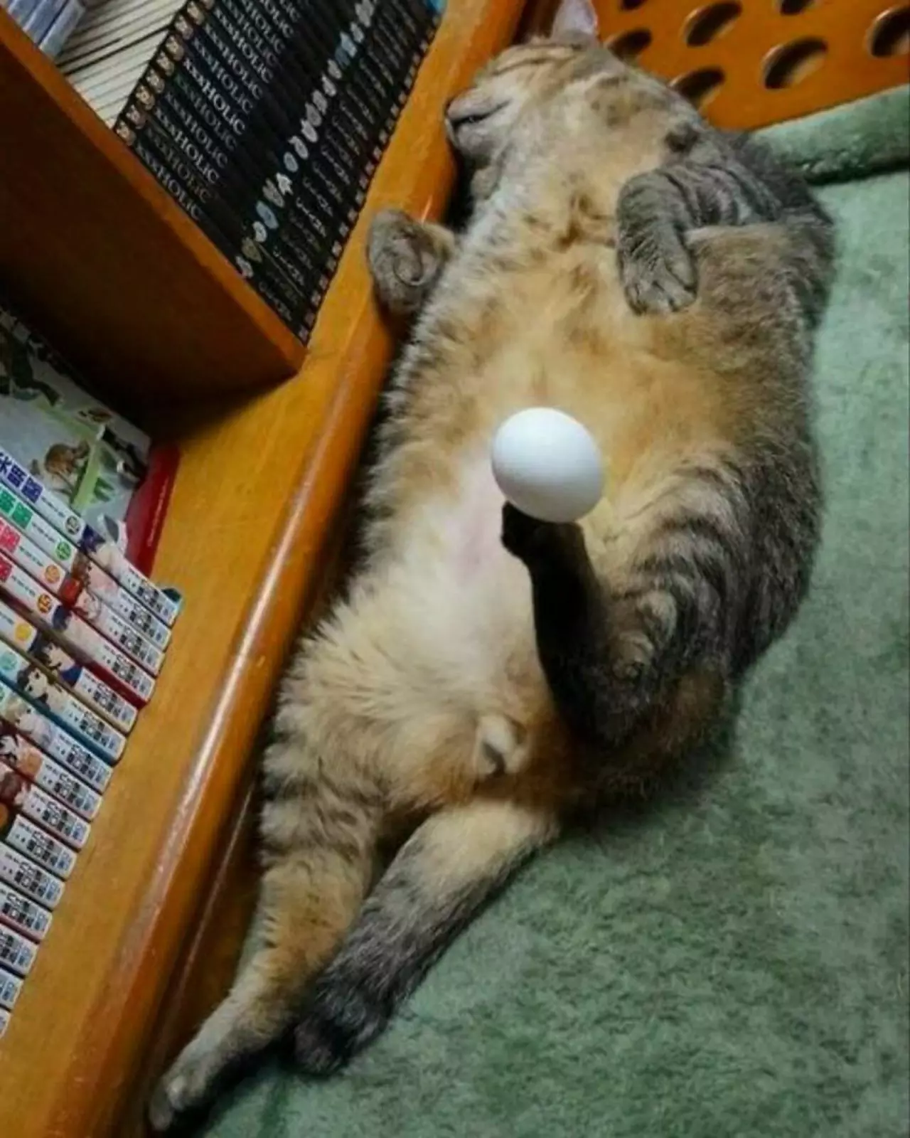 Что здесь вообще происходит? Что здесь вообще происходит?