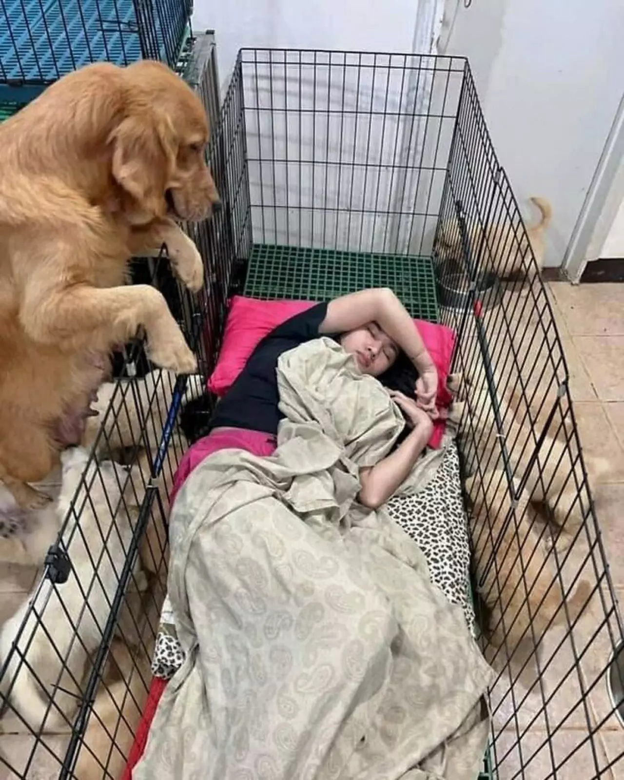 Махнулись не глядя. Махнулись не глядя.