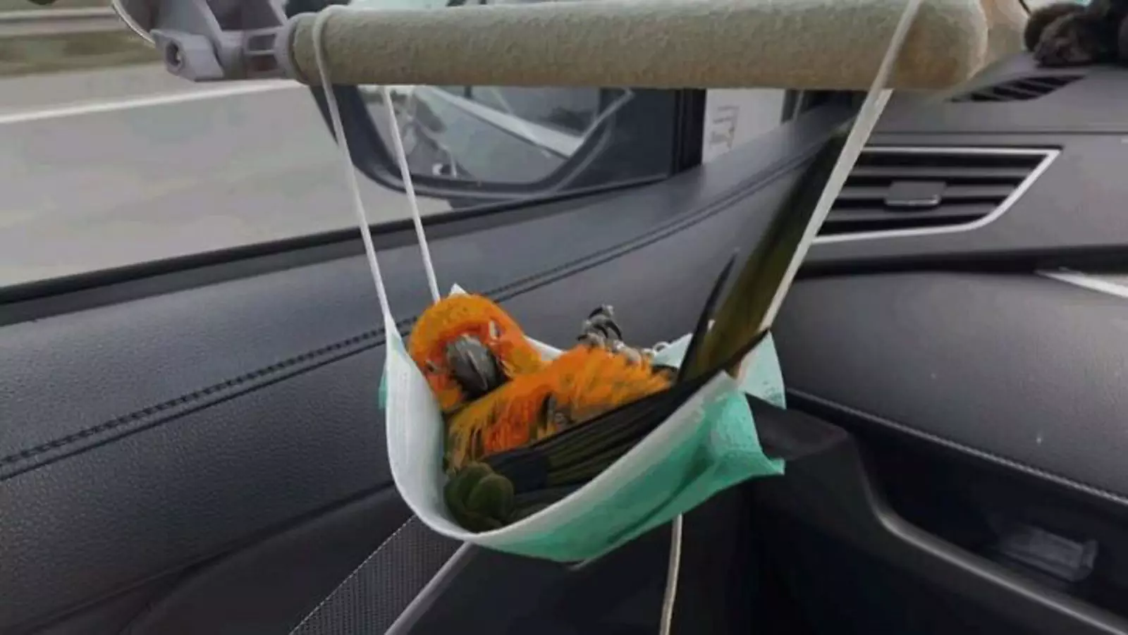 На чилле. На чилле.