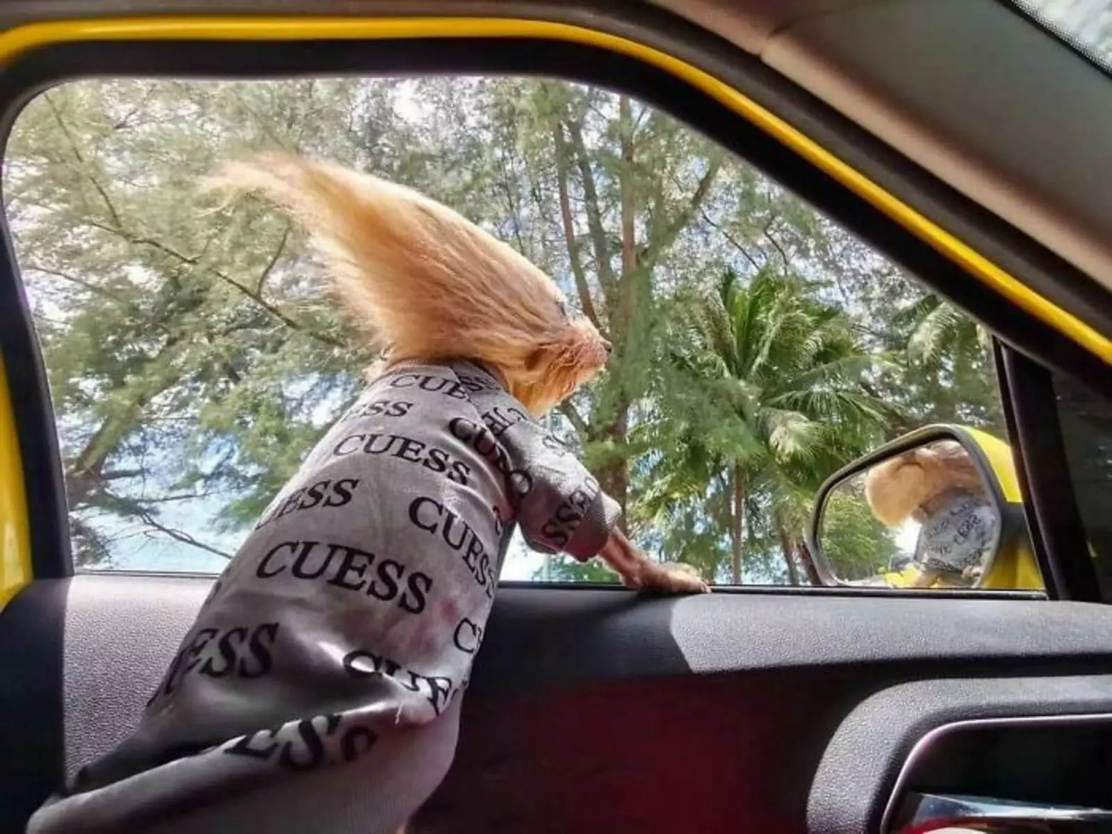 Тролль, ты ли это? Тролль, ты ли это?