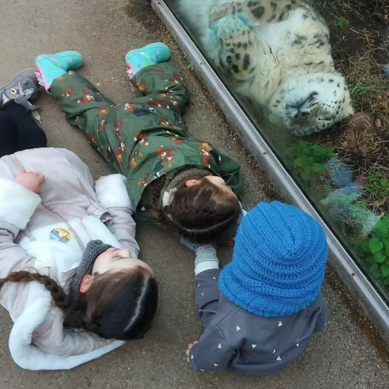 Представили себя на его месте. Представили себя на его месте.