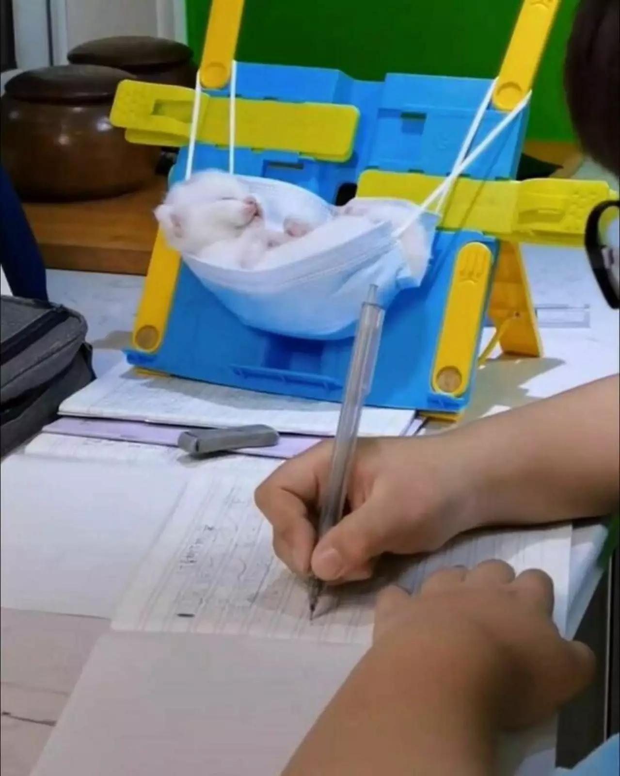 Антивирусная колыбелька. Антивирусная колыбелька.