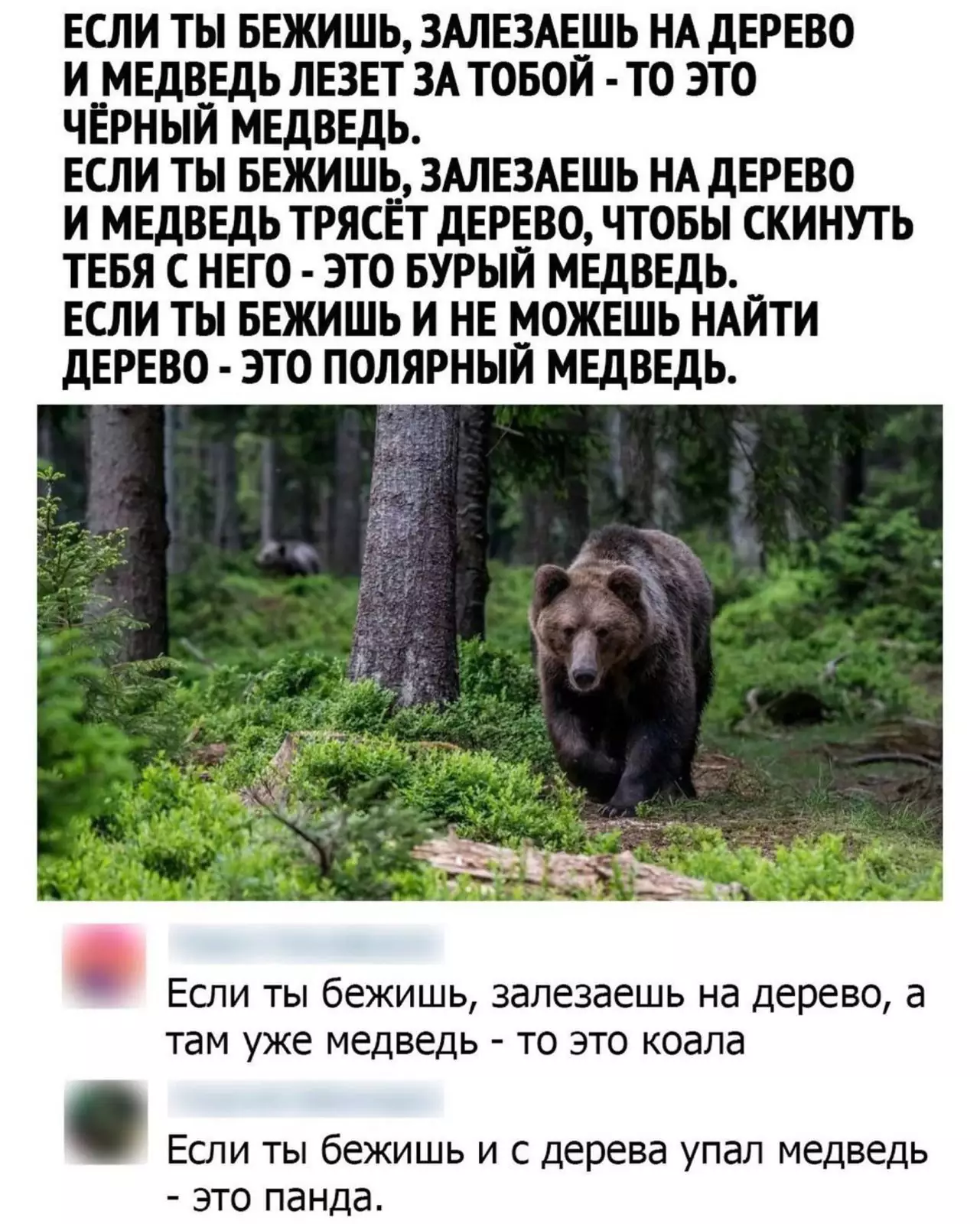 Теперь все точно понятно. Теперь все точно понятно.
