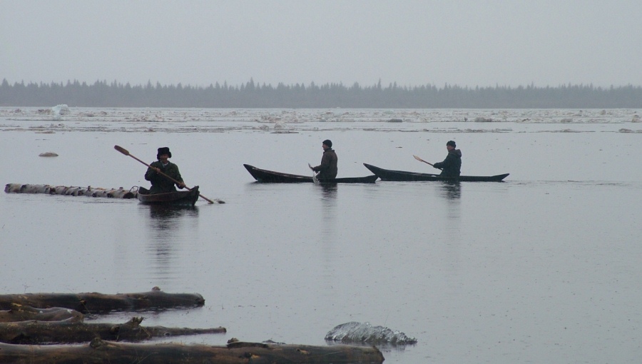 Дождь в тайге фото