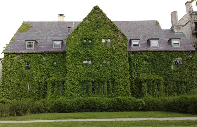 The Most Colorful Houses Engulfed in Vegetation