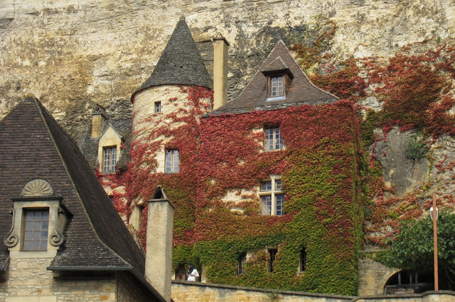 The Most Colorful Houses Engulfed in Vegetation