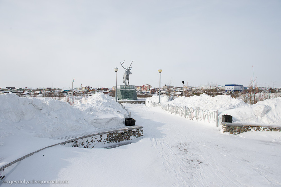 Камеры салехард