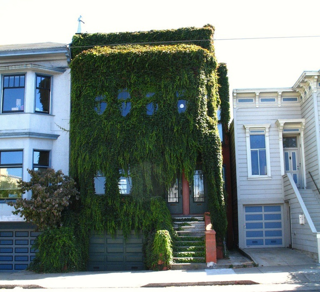 The Most Colorful Houses Engulfed in Vegetation