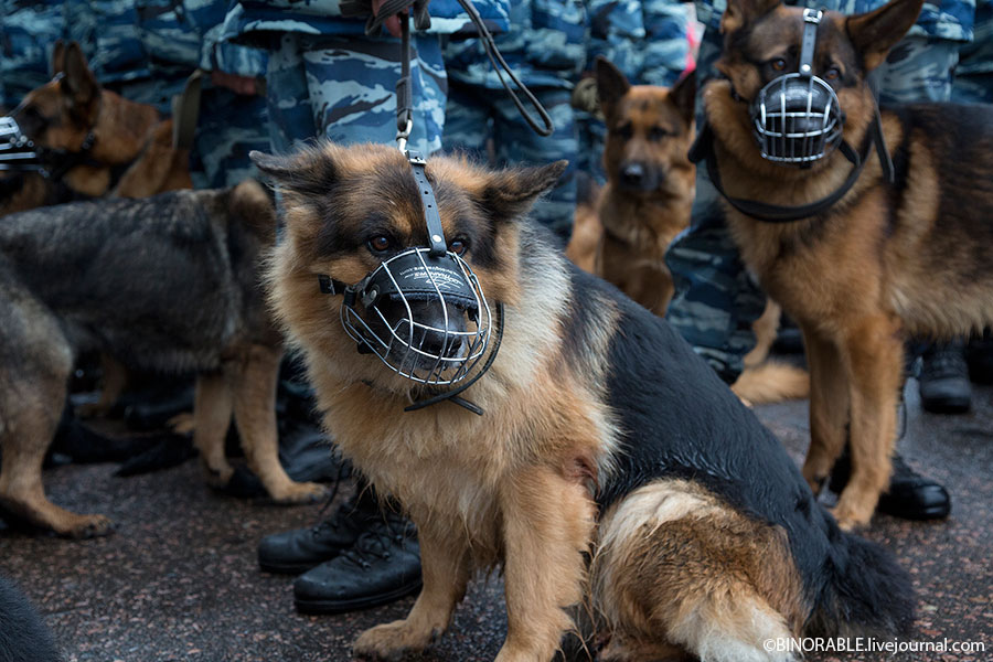 День московской полиции в Лужниках ©binorable.livejournal.com