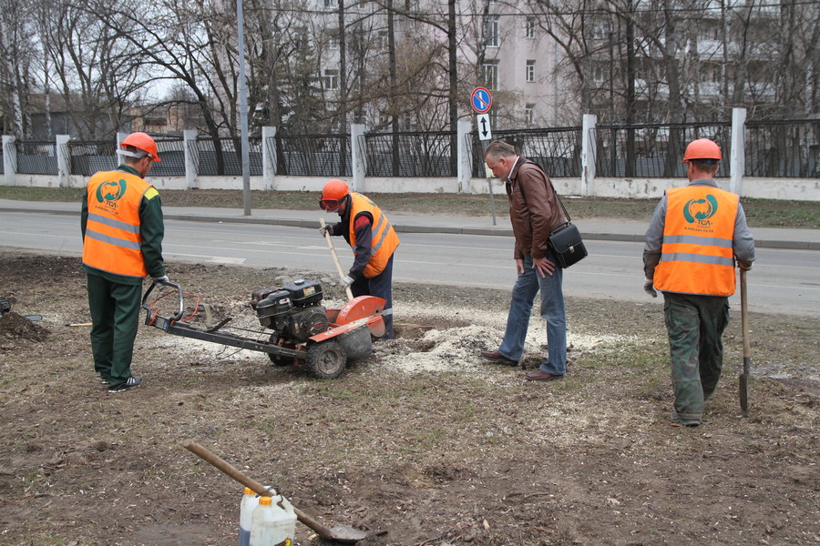 Менеджер осматривает стружку и делает выводы о твёрдости древесины.