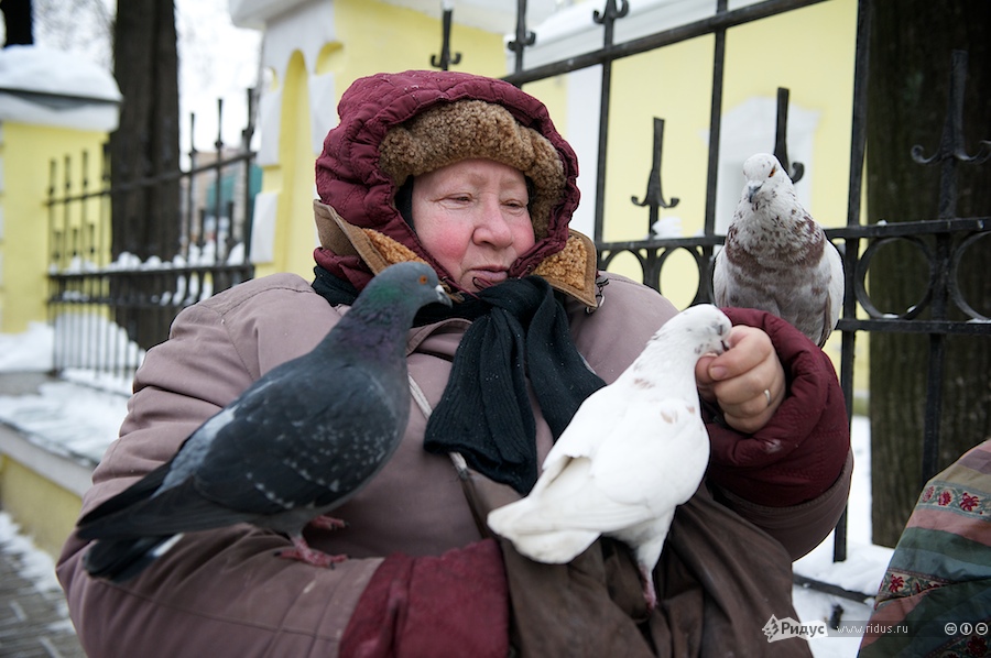 Служительница храма святителя Филиппа, митрополита Московского Нина Мефодиевна кормит голубей. © Антон Белицкий/Ridus.ru