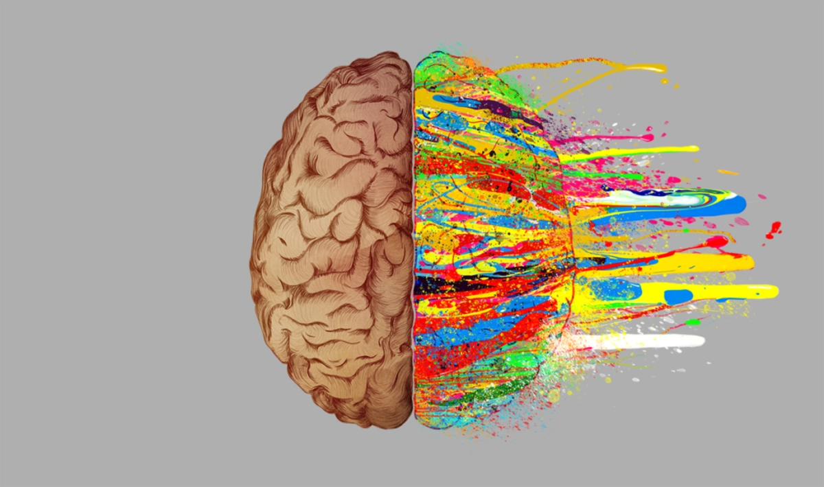 Доминирующее левое полушарие. Полушария мозга. Два полушария мозга. Красивый мозг. Полушар я мозга.