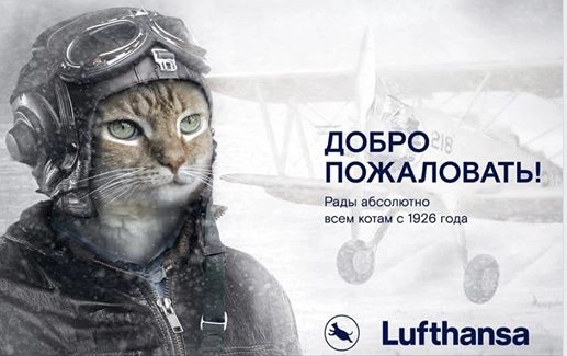 Конкуренты не дремлют. Шутка Конкуренты не дремлют. Шутка