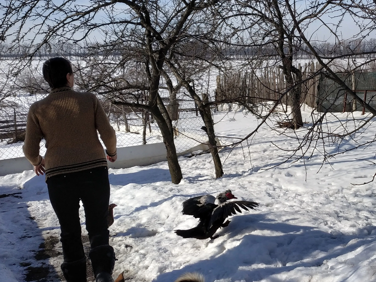 За садом и оврагом - линия фронта За садом и оврагом - линия фронта