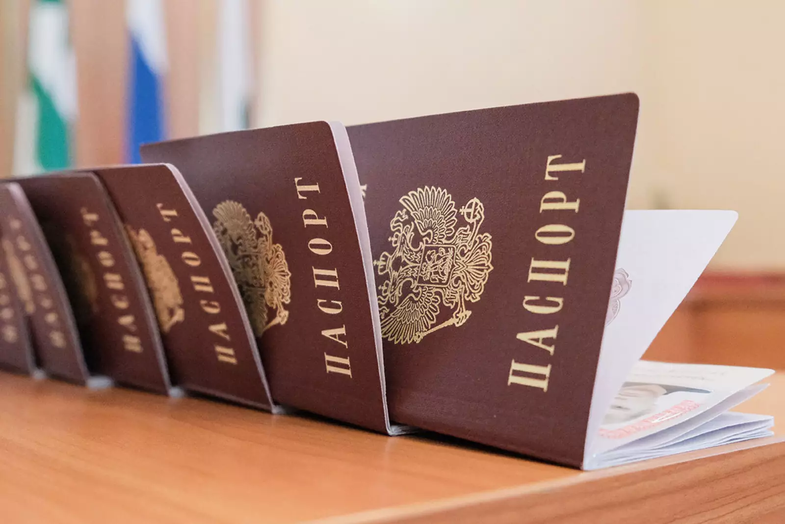 Паспорт Паспорт