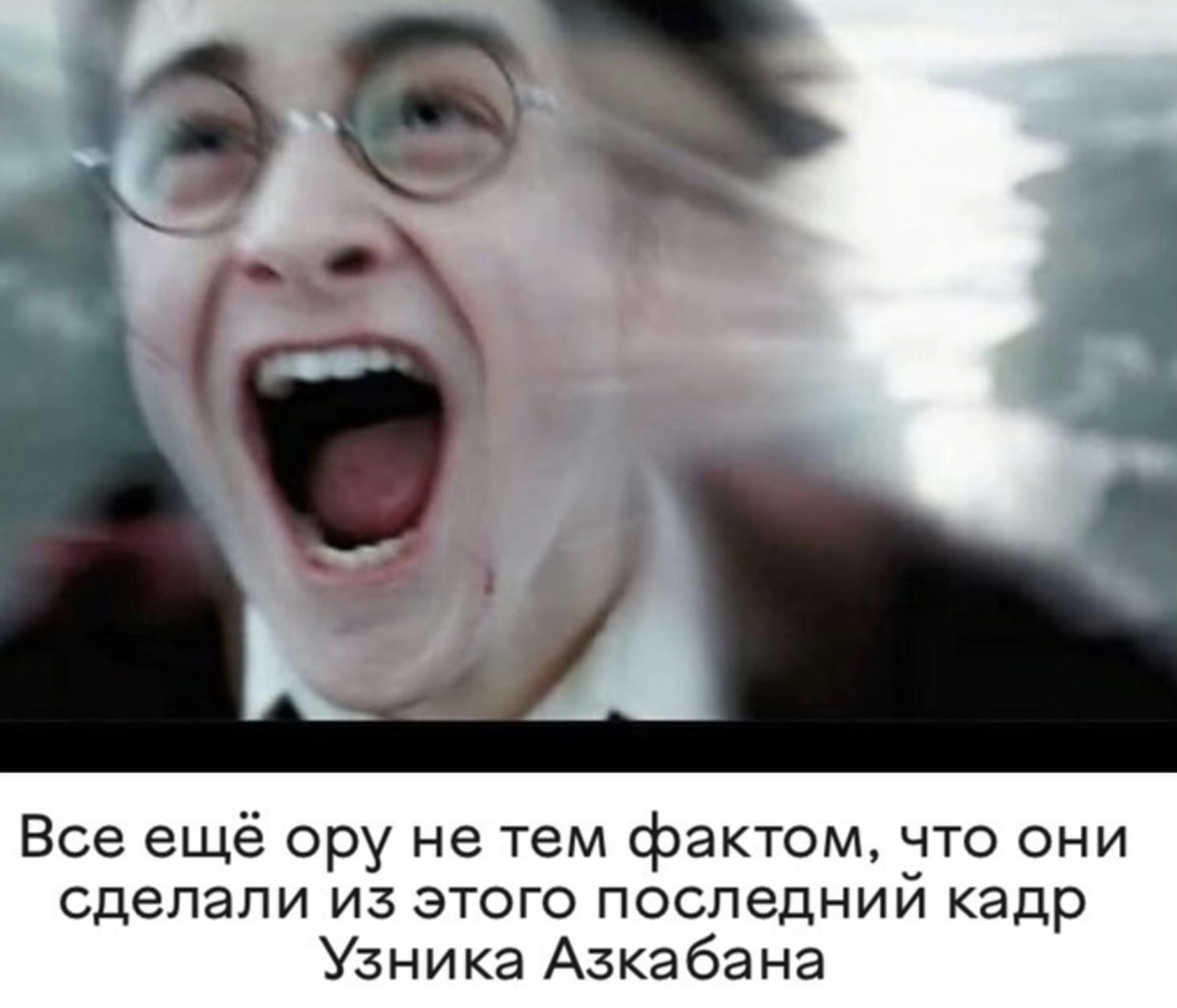 Зато какой живой кадр получился! Альфонсо Куарон наверняка оценил его по достоинству!