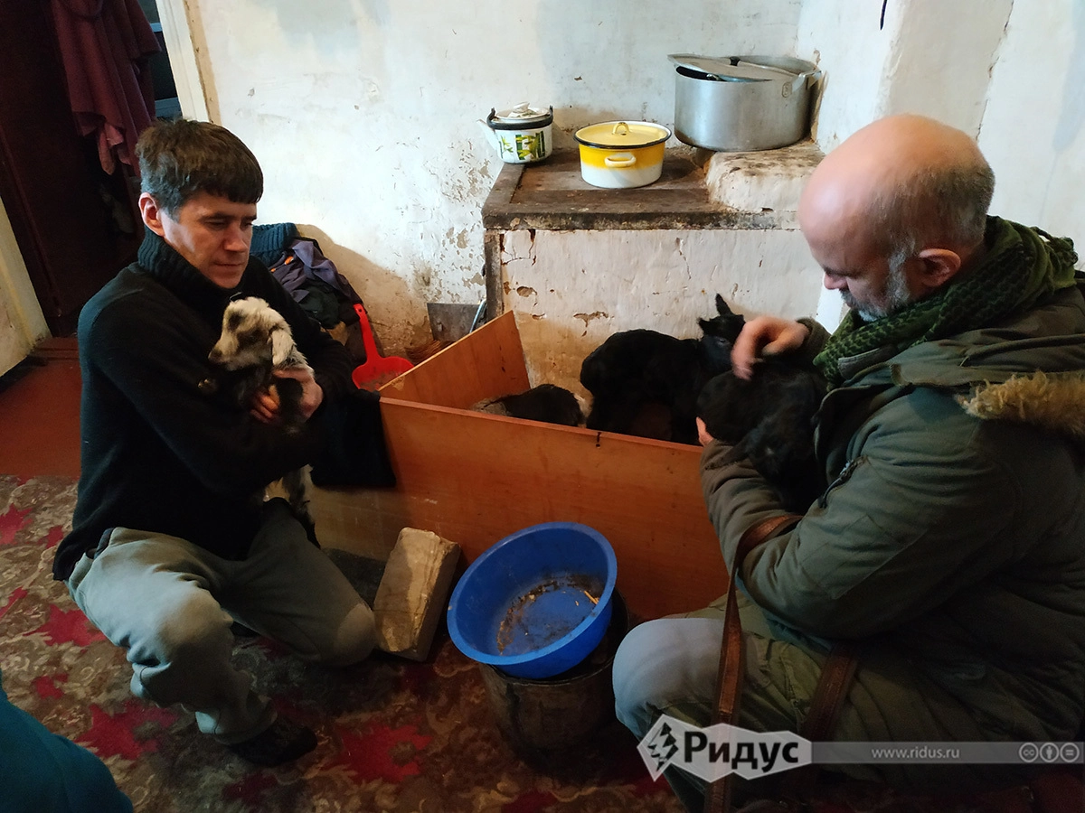 Дмитрий, Андрей Седлов и козлята. Дмитрий, Андрей Седлов и козлята.