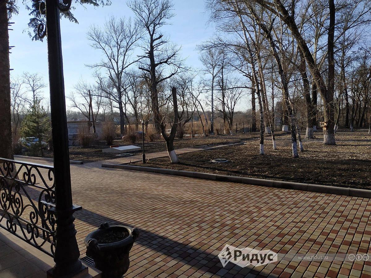 Вид с террасы в парк. Вид с террасы в парк.