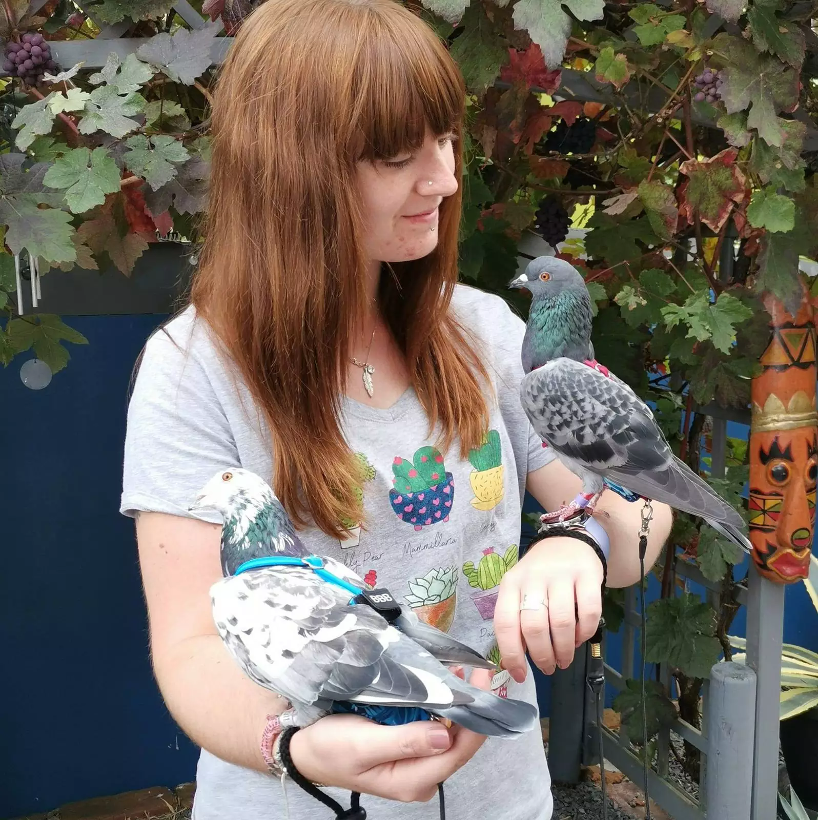 Птички с удовольствием наряжаются, выгуливаются на поводке и принимают солнечные ванны в специальной коляске для прогулок. Птички с удовольствием наряжаются, выгуливаются на поводке и принимают солнечные ванны в специальной коляске для прогулок.