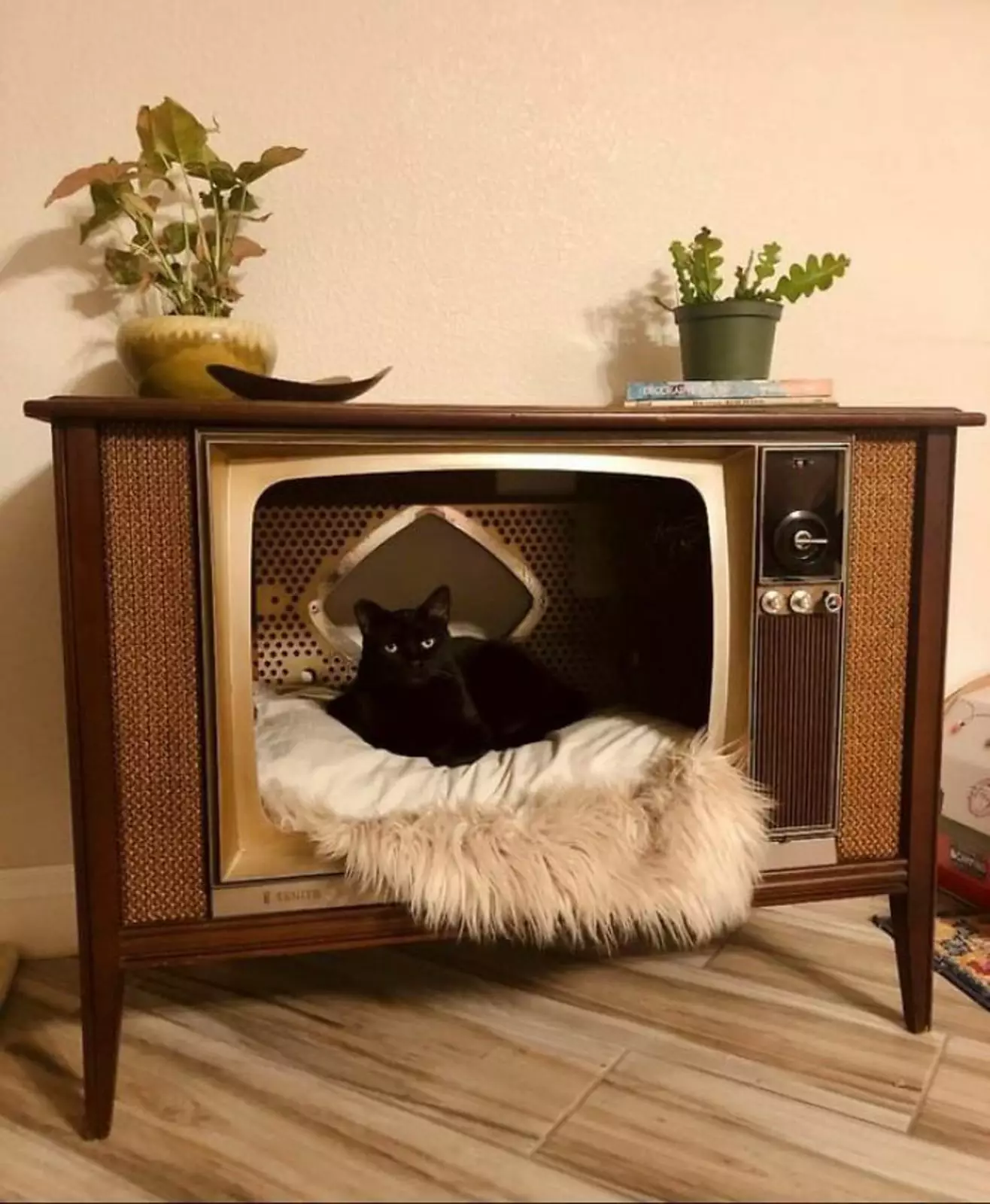 Лежанка телевизор для кошек