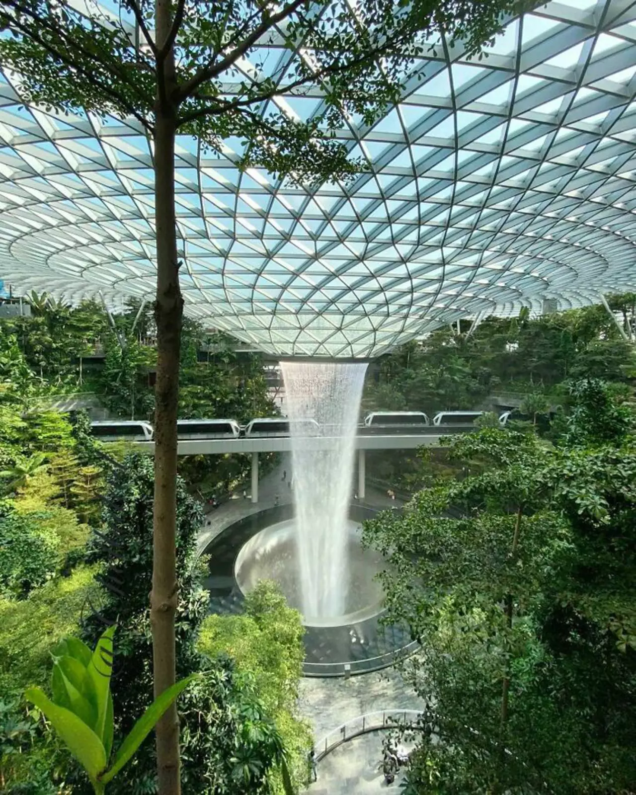 Фонтан в Сингапуре из купола здания из дождевой воды