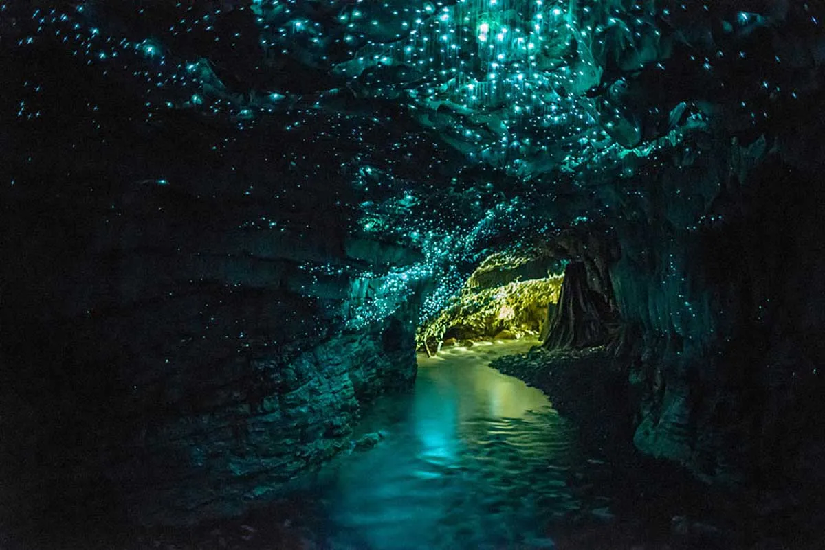 Пещера светлячков, Вайтомо (Waitomo), новая Зеландия