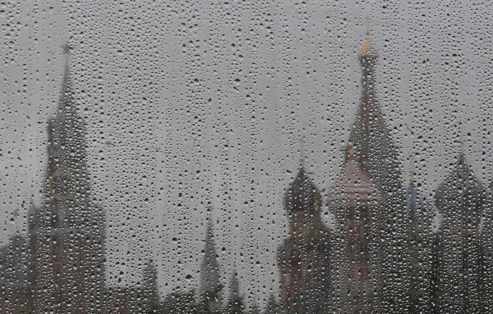 Метеоролог Позднякова: в пятницу в Москве ожидаются ливни и усиление ветра