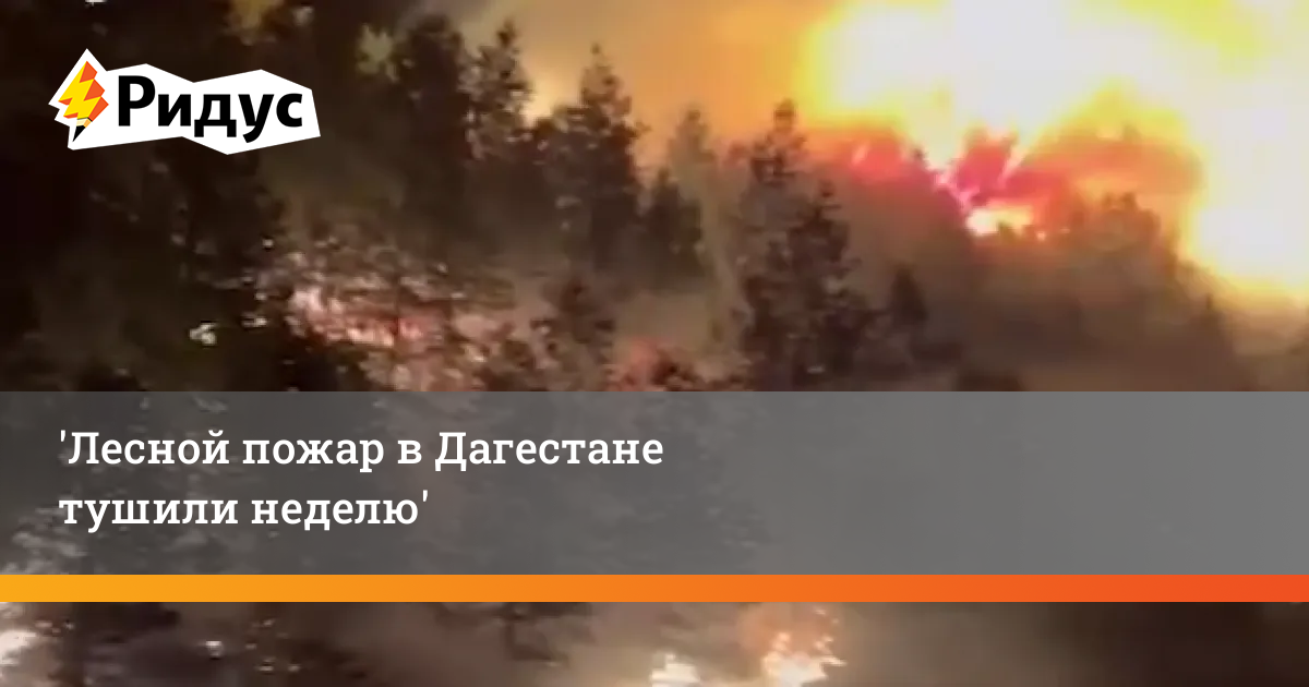 Лесные пожары. Тушат Лесной пожар. Пожар в населенном пункте. Лесоторфяные пожары.