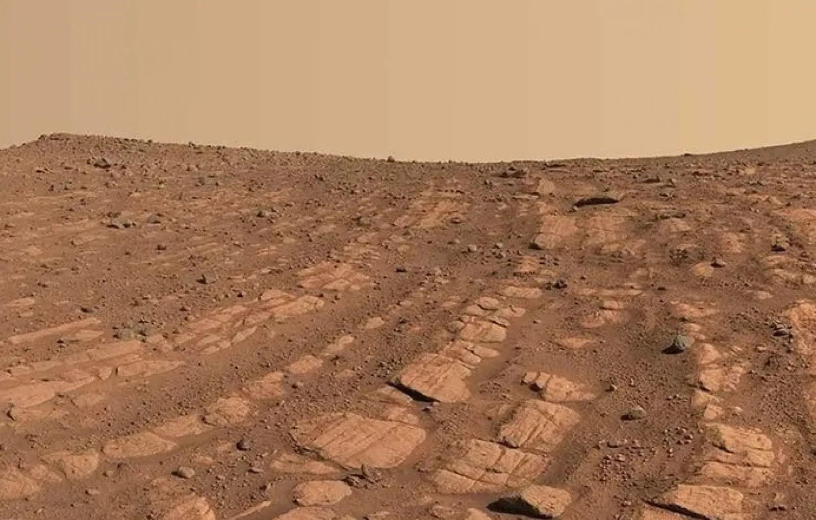 Warframe реликвии эры лит на марсе фото 46