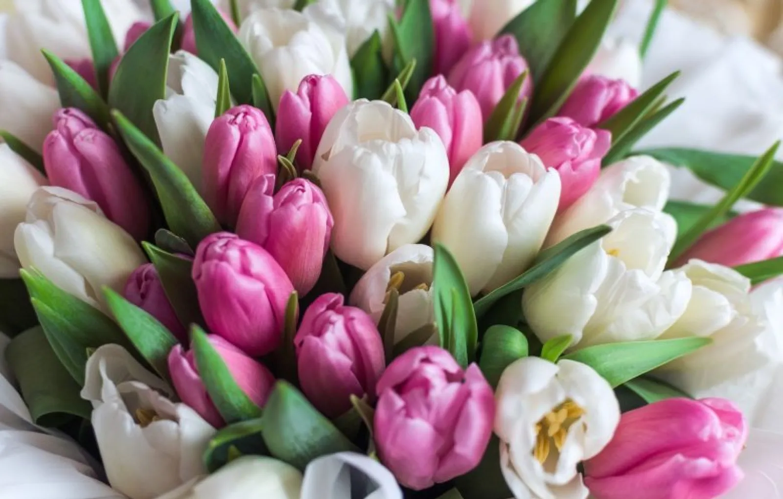 Эксперт предсказал цветочному рынку потрясения без цветов из «недружественных» стран