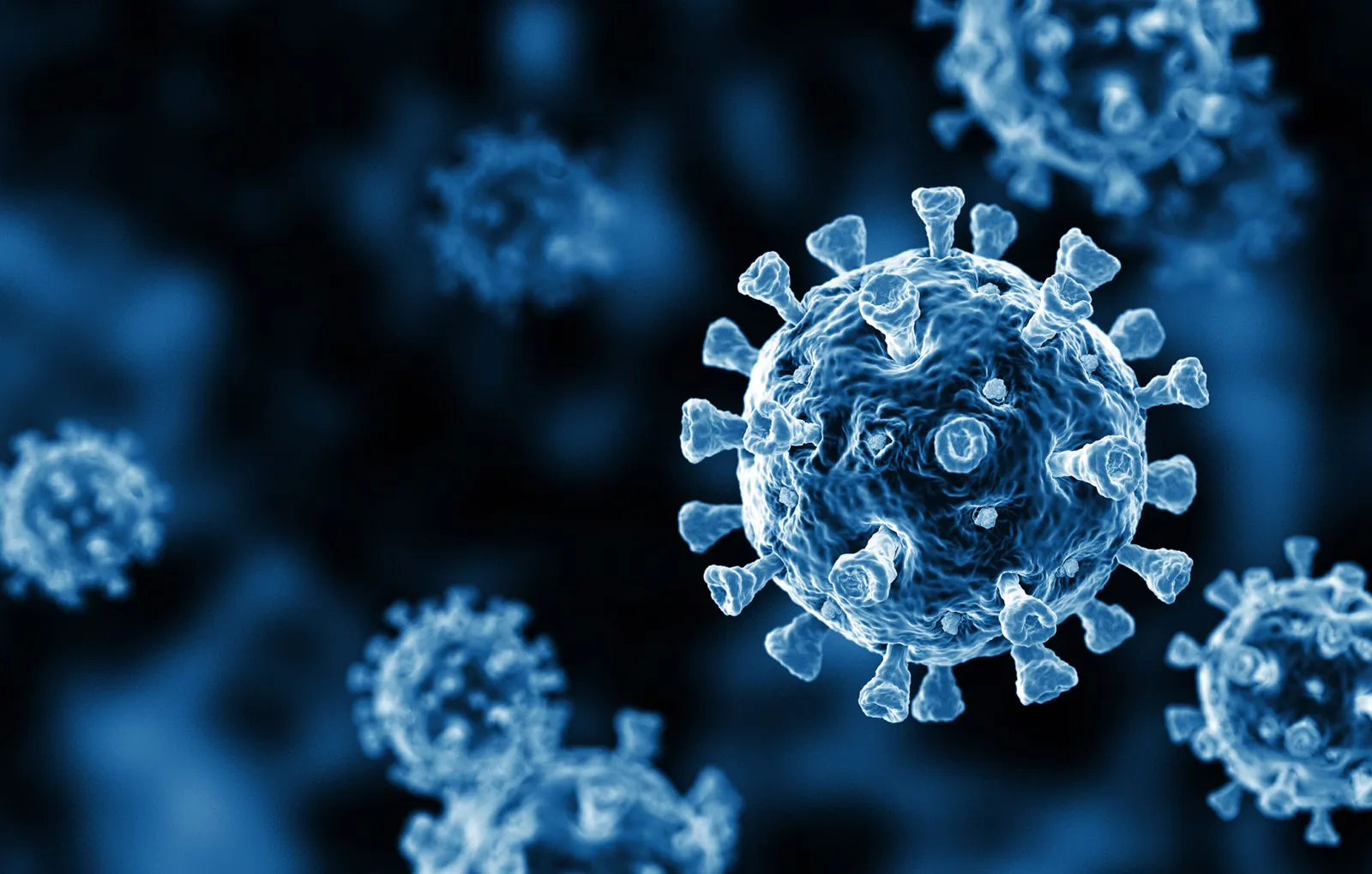 В РФ выявили 178 случаев варианта коронавируса FLiRT. Онищенко назвал симптомы