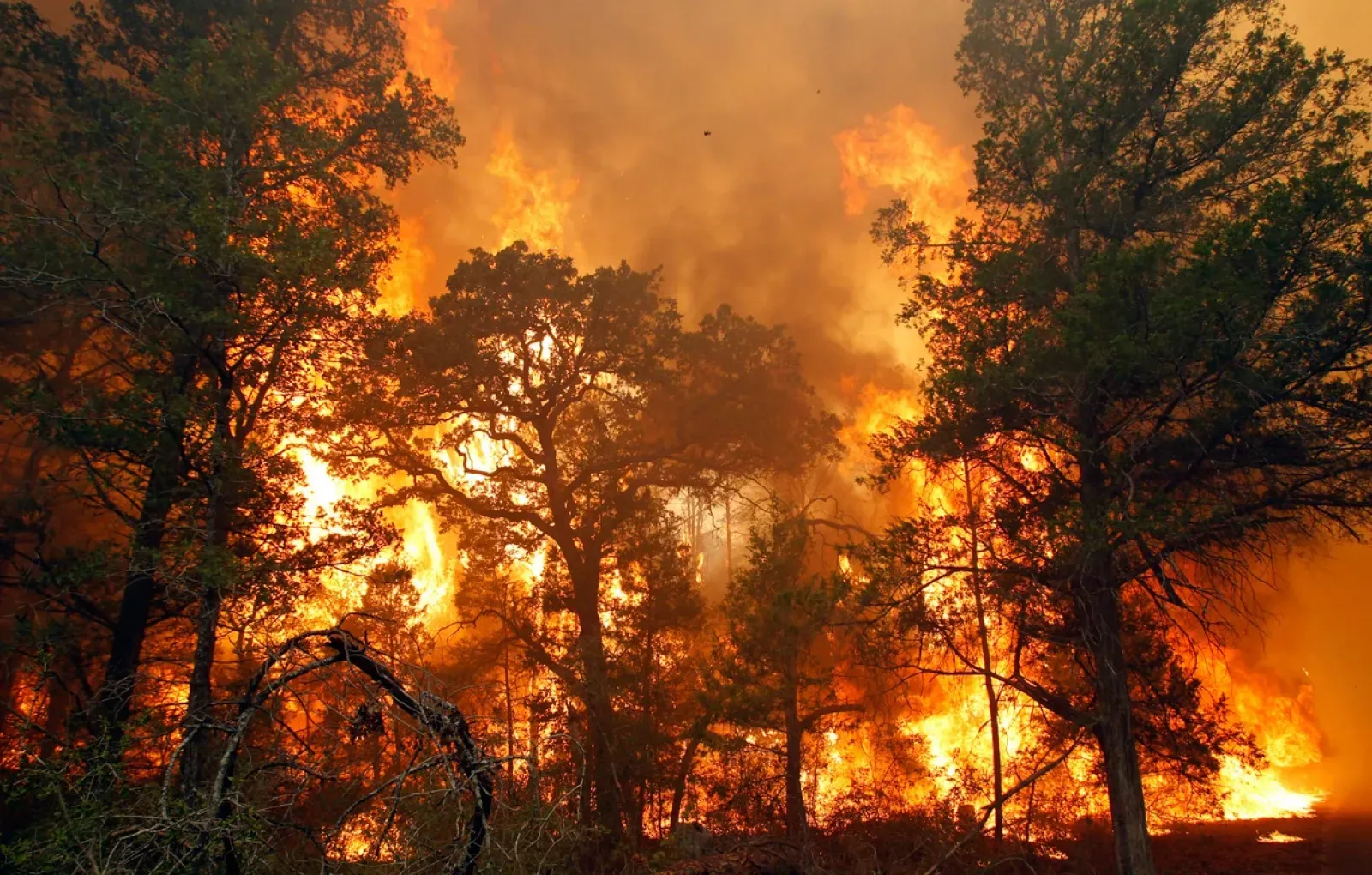 В России за сутки потушили 69 природных пожаров
